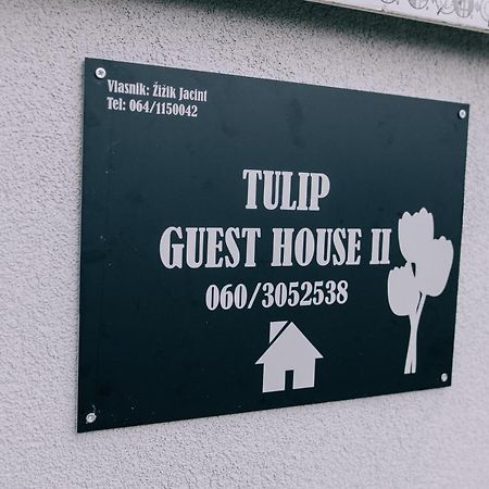 Tulip Guest House Ii. 帕利克 外观 照片